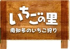 いちごの丘 いちご狩り&スイーツ